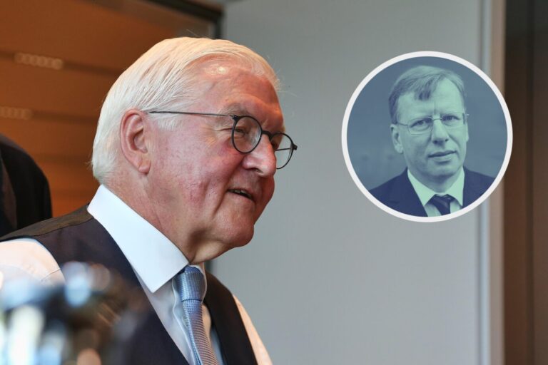 Bundespräsident Frank-Walter Steinmeier: Apparatschik einer Politkaste. (Themenbild/Collage)