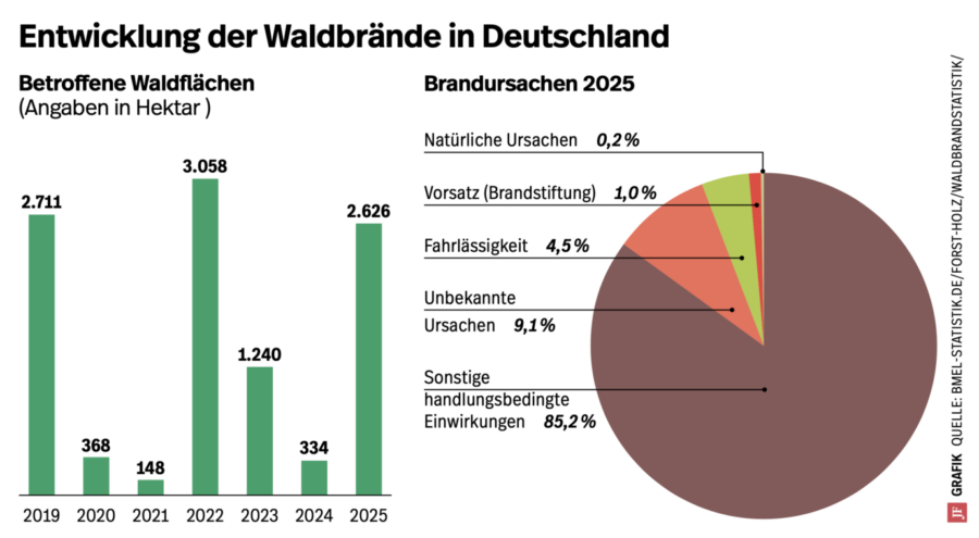 Die Grafik zeigt, wie sich Waldbrände in Deutschland entwickeln.