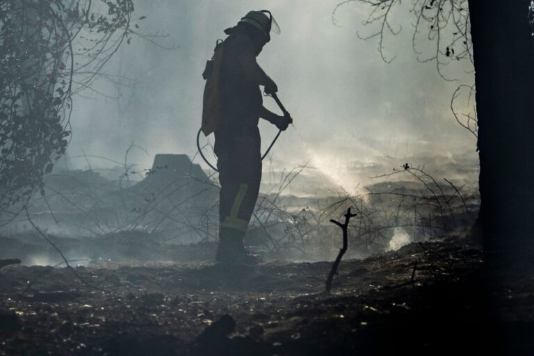 Ein Feuerwehrmann ist mit Löscharbeiten in einem Waldstück beschäftigt. Gleich vor mehreren Bränden in einem Waldstück zwischen Ober- und Niederrodenbach warnte die Integrierte Leitstelle im Main-Kinzig-Kreis über Katwarn. «Nach bisherigem Stand ist eine Waldfläche von mehreren tausend Quadratmetern betroffen», sagte ein Polizeisprecher am frühen Abend.