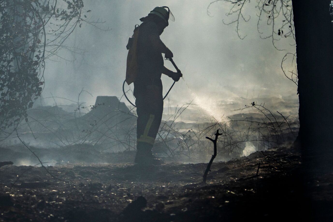 Ein Feuerwehrmann ist mit Löscharbeiten in einem Waldstück beschäftigt. Gleich vor mehreren Bränden in einem Waldstück zwischen Ober- und Niederrodenbach warnte die Integrierte Leitstelle im Main-Kinzig-Kreis über Katwarn. «Nach bisherigem Stand ist eine Waldfläche von mehreren tausend Quadratmetern betroffen», sagte ein Polizeisprecher am frühen Abend.