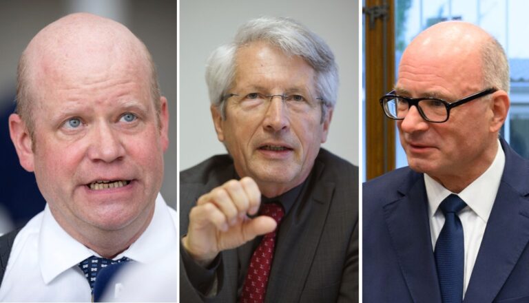 Nicht einer Meinung über die Unabhängigkeit der Richter: Die Staatsrechtler Ulrich Vosgerau, Dietrich Murswiek und Volker Boehmer-Neßler.