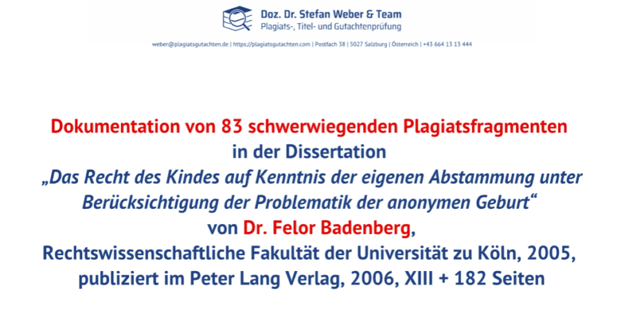 Auf seinem Blog macht Plagiatsjäger Weber die erste Analyse der Arbeit öffentlich. Screenshot: JF 