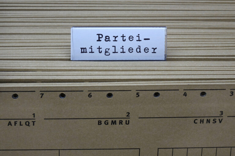 AfD. Die Mitgliederverhältnisse verschieben sich. Symbolbild: IMAGO / Steinach
