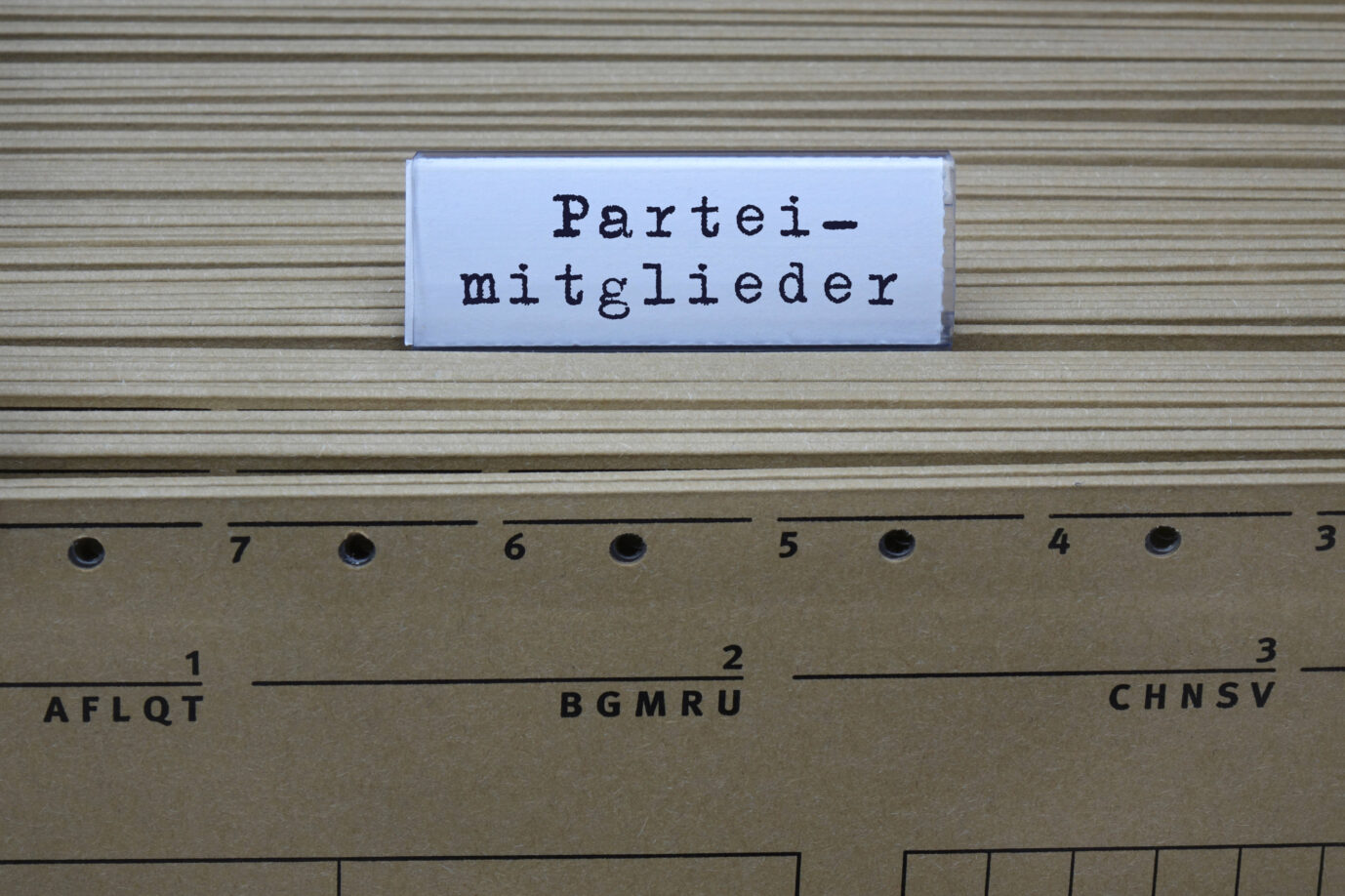 AfD. Die Mitgliederverhältnisse verschieben sich. Symbolbild: IMAGO / Steinach