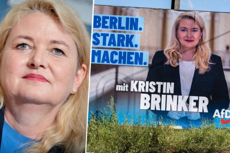 AfD-Wahlplakat, Spitzenkandidatin Kristin Brinker